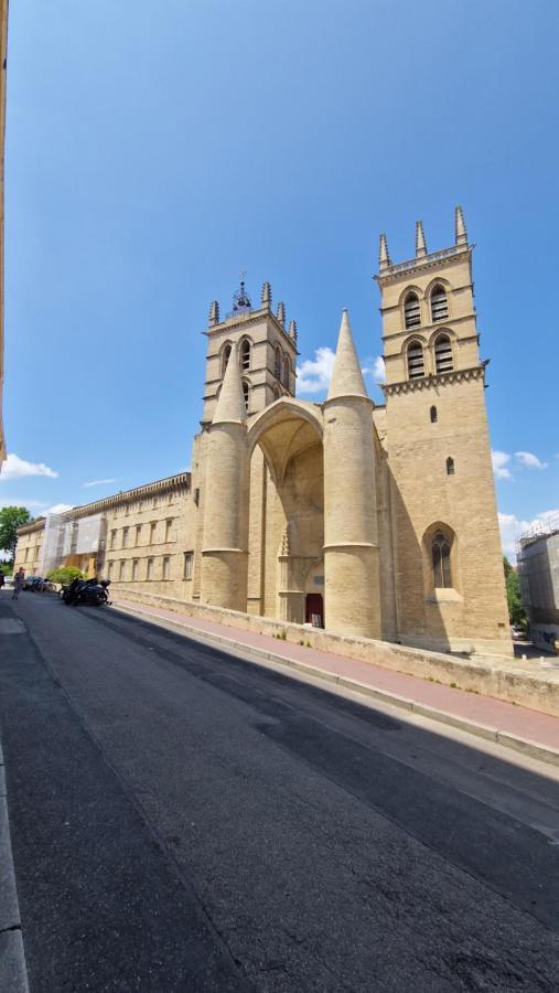Le Petit Olivier En Coeur De Ville + Parking Incl. Montpellier Esterno foto