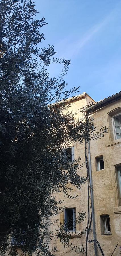 Le Petit Olivier En Coeur De Ville + Parking Incl. Montpellier Esterno foto